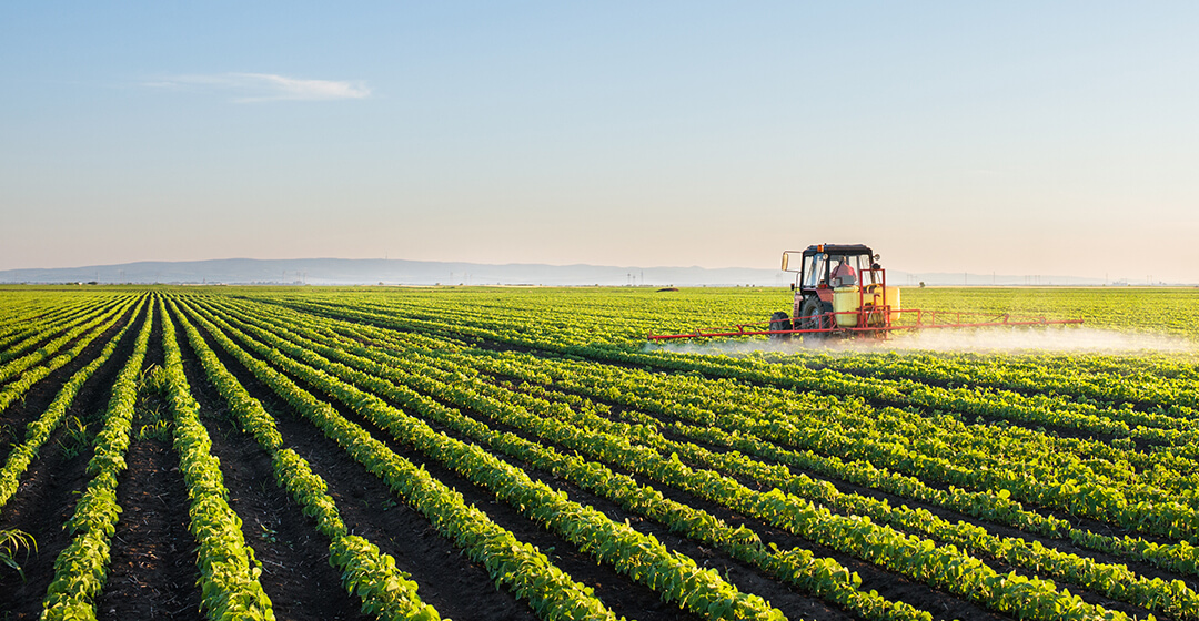 Pesticide Industry